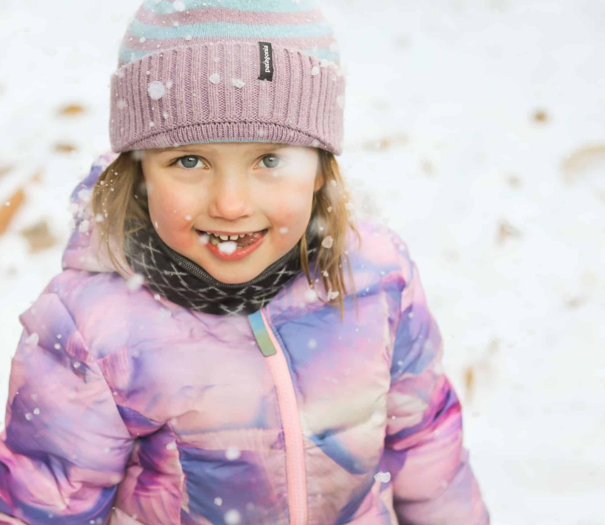 Berry Holiday Picks